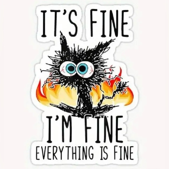 (3 for $20)It's Fine, I'm Fine Cat Vinyl Sticker 3" New - Picture 2 of 5